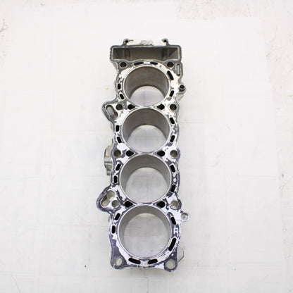 2015 - 2024 YAMAHA YZF R1 CYLINDER WALLS ENGINE MOTOR SILVER R1M R1S STOCK