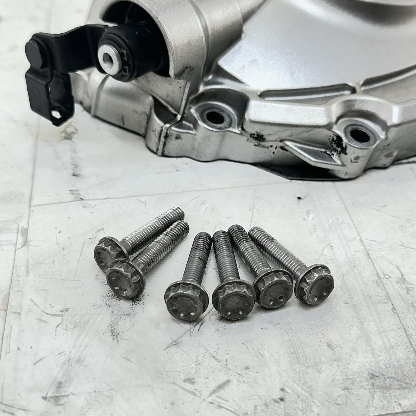 2016 - 2019 YAMAHA YZF R1 CLUTCH COVER SIDE ENGINE MOTOR TRIM PANEL BOLTS STOCK