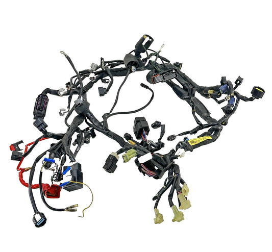 2016 - 2019 YAMAHA YZF R1 MAIN WIRING HARNESS ENGINE MOTOR WIRE LOOM STOCK