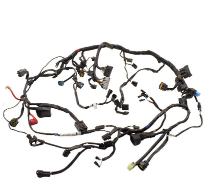 2009 - 2012 TRIUMPH DAYTONA 675 R MAIN HARNESS Engine Wiring Wire Loom Cable