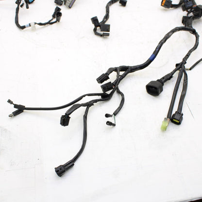2009 - 2012 TRIUMPH DAYTONA 675 R MAIN HARNESS Engine Wiring Wire Loom Cable