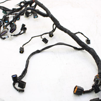 2009 - 2012 TRIUMPH DAYTONA 675 R MAIN HARNESS Engine Wiring Wire Loom Cable