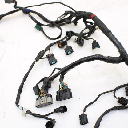 2009 - 2012 TRIUMPH DAYTONA 675 R MAIN HARNESS Engine Wiring Wire Loom Cable