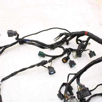 2009 - 2012 TRIUMPH DAYTONA 675 R MAIN HARNESS Engine Wiring Wire Loom Cable