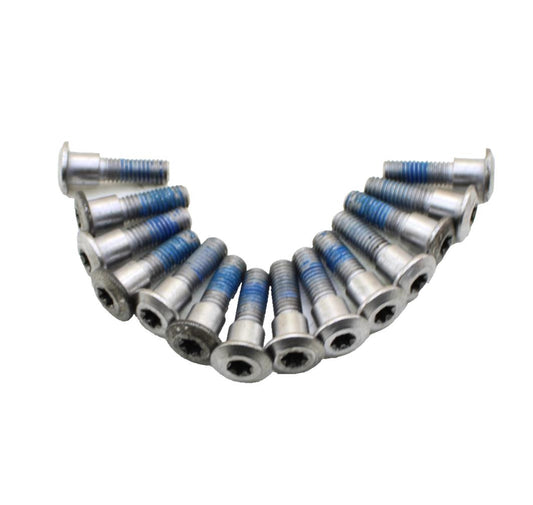 2009 - 2012 TRIUMPH DAYTONA 675 FRONT ROTOR BOLTS MOUNT HARDWARE STOCK SILVER