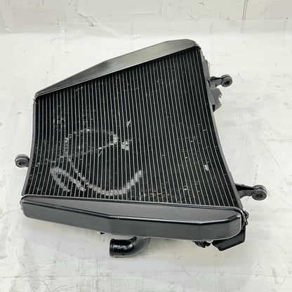 2017 - 2019 HONDA CBR1000RR RADIATOR FANS ENGINE MOTOR COOLING BLACK STOCK