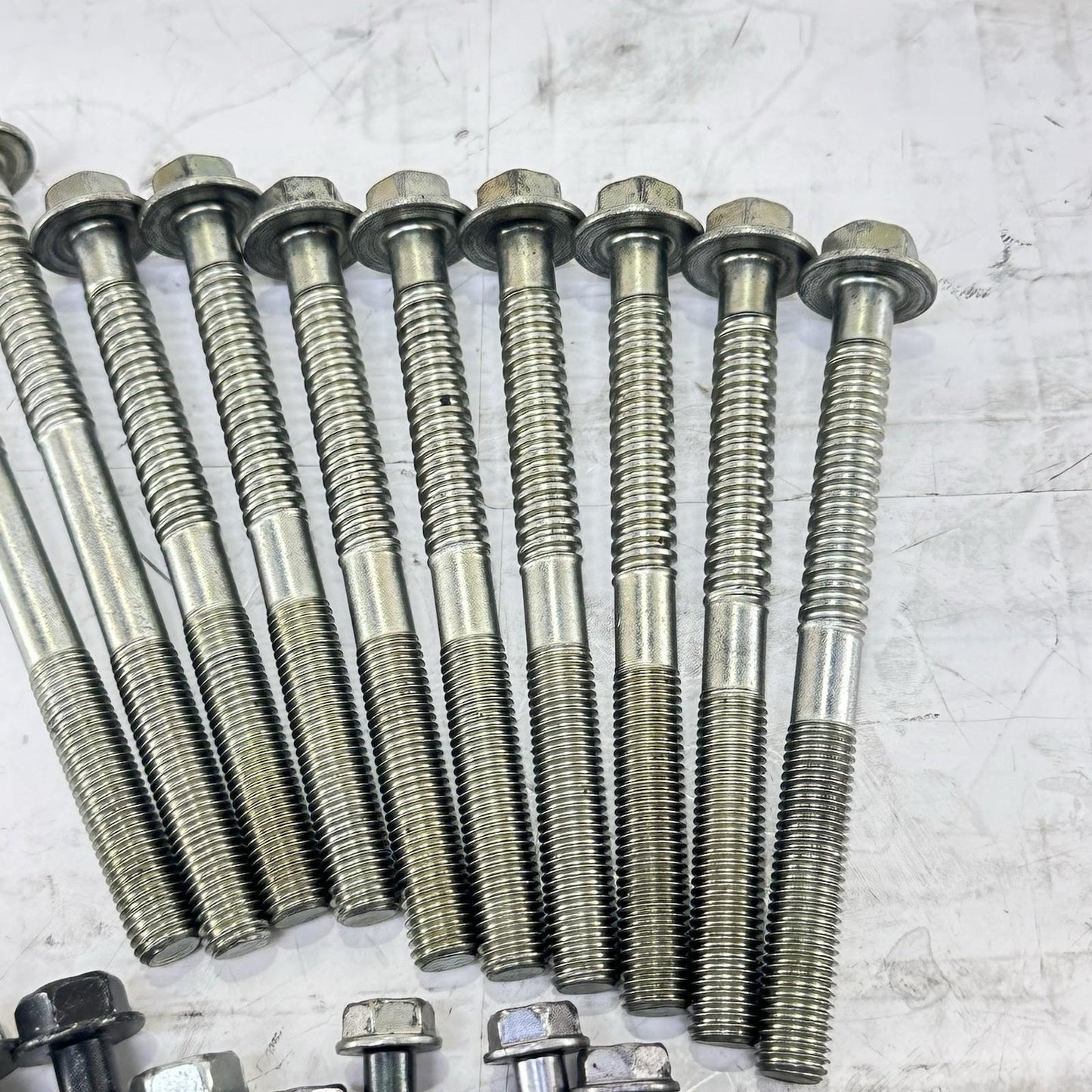 2008 - 2011 HONDA CBR1000RR CRANKCASE BOLTS HARDWARE SCREWS SILVER