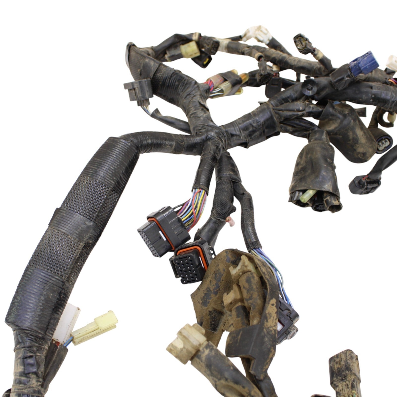 Image #20