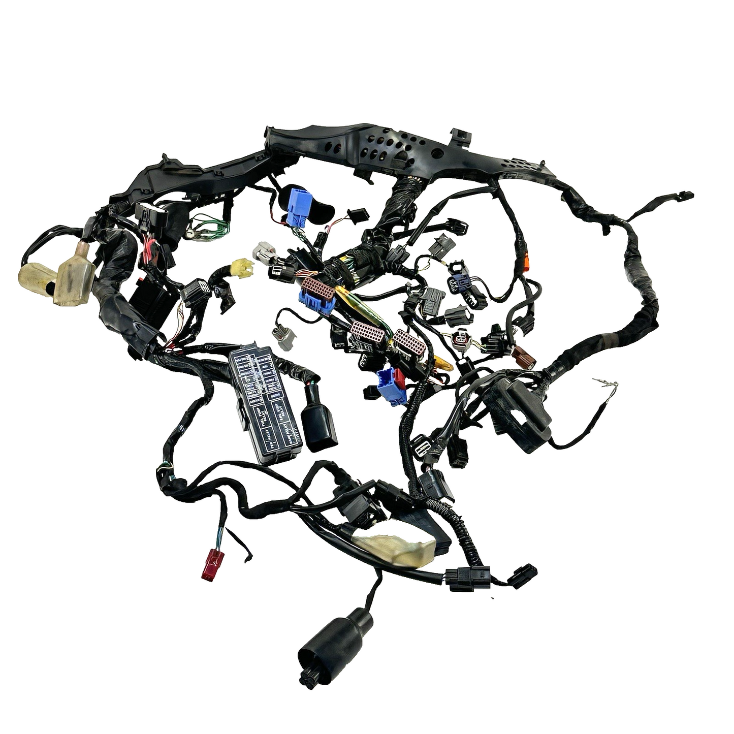 Image #1