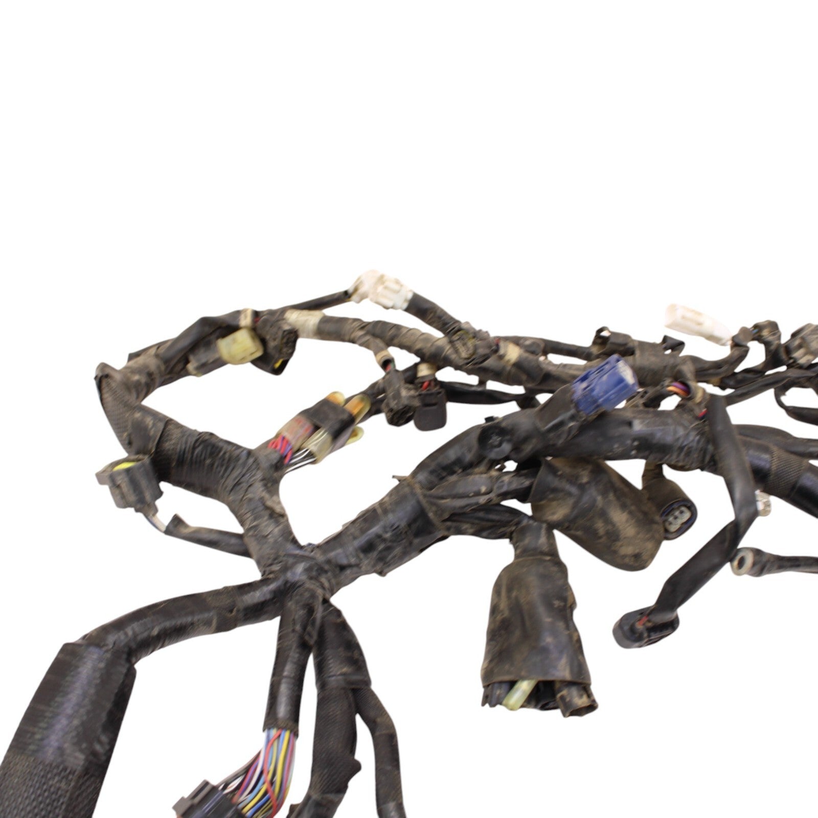 Image #7