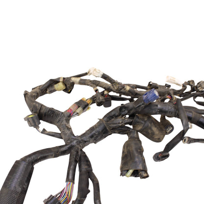 Image #7