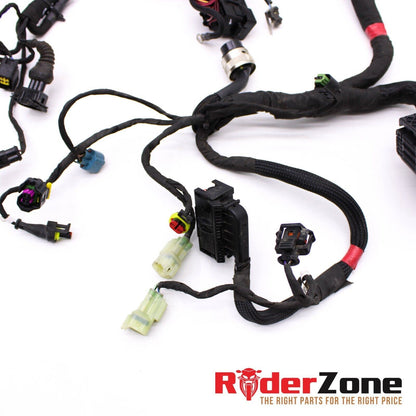 2020 - 2022 DUCATI PANIGALE V2 WIRING HARNESS MAIN WIRES ELECTRICAL *NO CUTS* OE