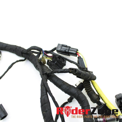 2011 - 2013 DUCATI 848 EVO MAIN HARNESS ELECTRICAL WIRING PLUGS LOOM STOCK OEM