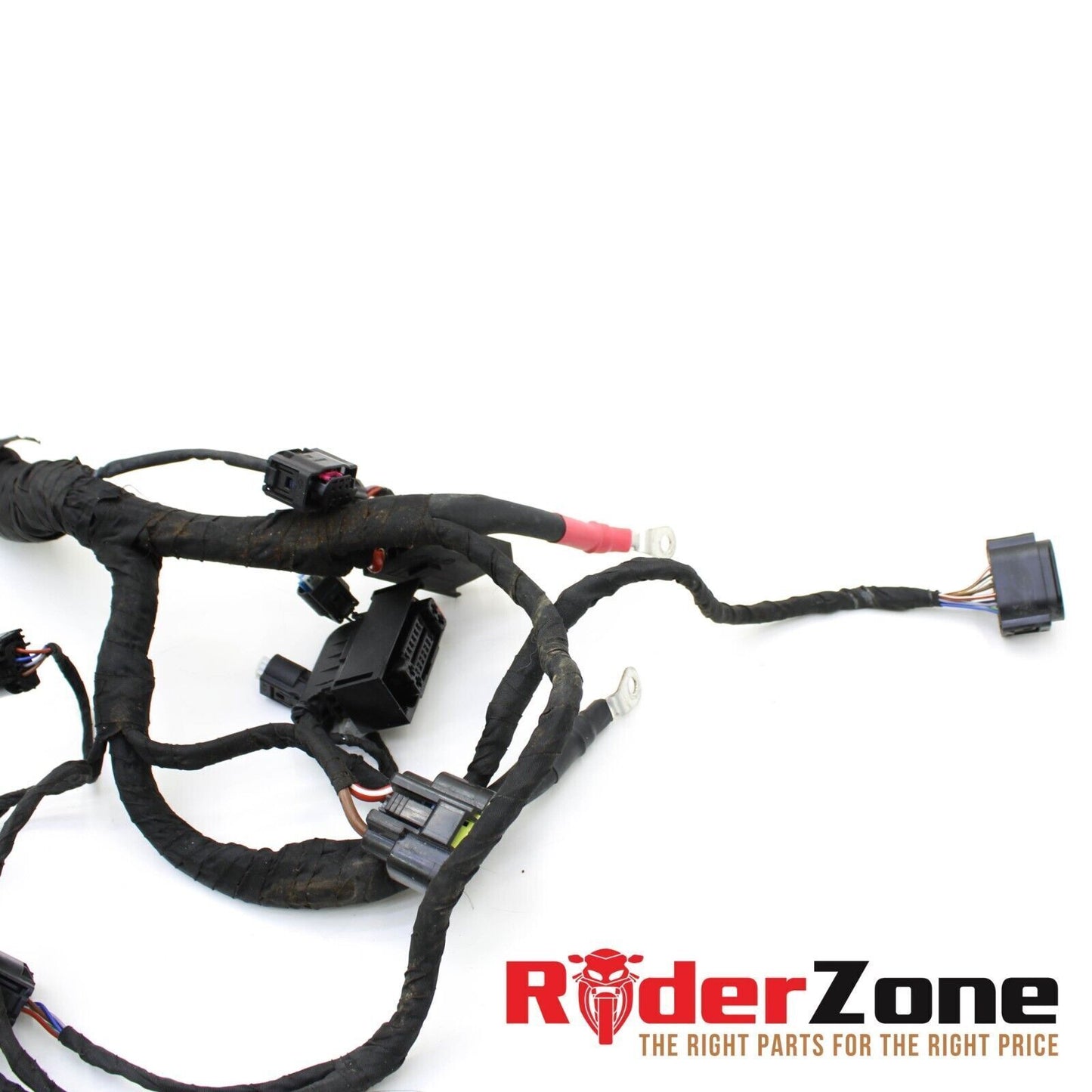 2023 BMW S1000RR MAIN HARNESS ENGINE WIRING LOOM COMPLETE ELECTRICAL *DAMAGE*