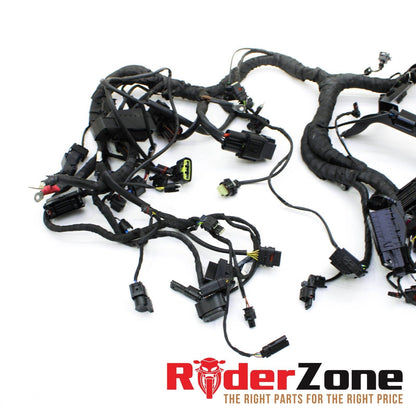 20 - 2022 BMW S1000RR MAIN HARNESS ENGINE WIRING COMPLETE LOOM ELECTRICAL PLUGS