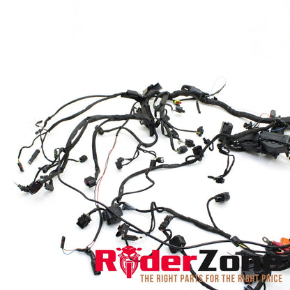2020 - 2022 BMW S1000RR MAIN HARNESS WIRING LOOM ELECTRICAL SYSTEM STOCK