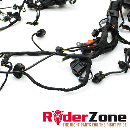2020 - 2022 BMW S1000RR MAIN HARNESS WIRING LOOM ELECTRICAL SYSTEM STOCK