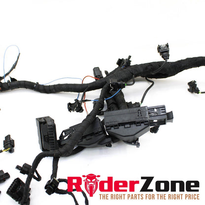 2020 - 2022 BMW S1000RR MAIN HARNESS WIRING LOOM ELECTRICAL SYSTEM STOCK