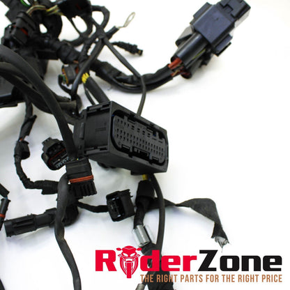 2020 - 2022 BMW S1000RR MAIN HARNESS WIRING LOOM ELECTRICAL SYSTEM STOCK